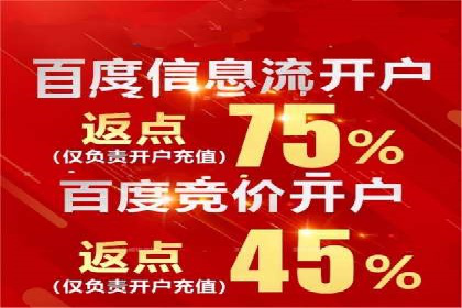 竞价排名技巧：如何有效进行网络推广